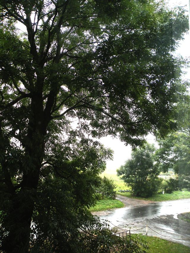 Tarpnowskie klimaty