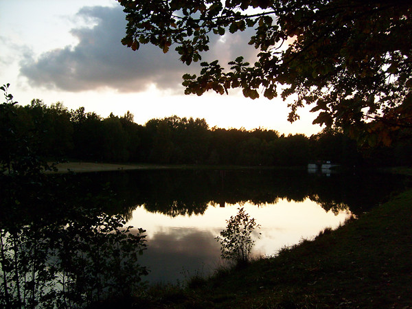 Jak tlen