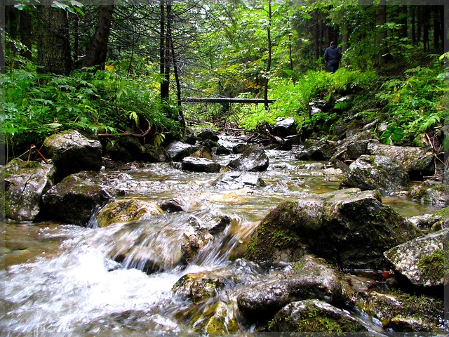 Tatry - Dolina ku Dziurze