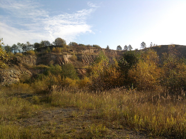 Grzegorzowice 10/10/2009