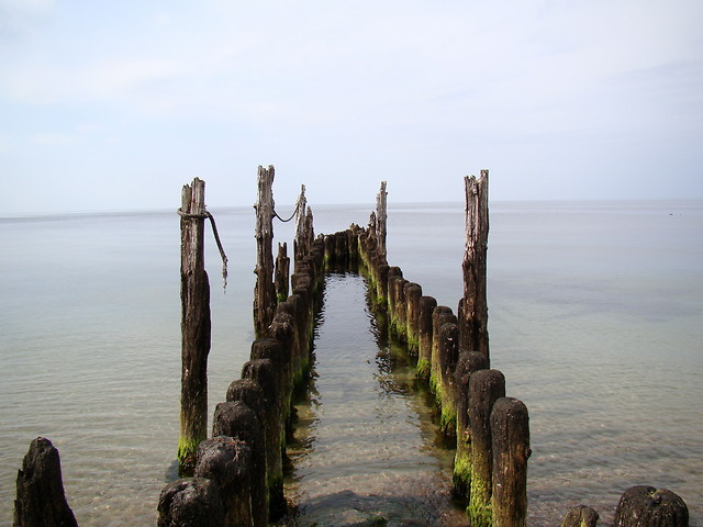 Szcztki mostka