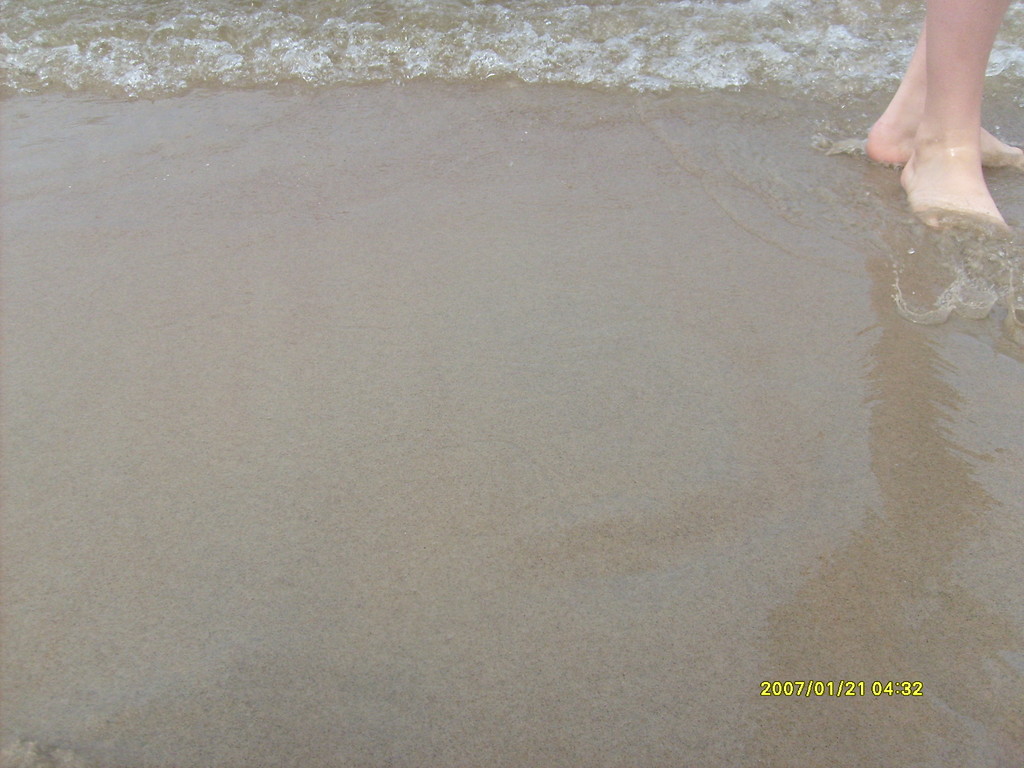 Wave 