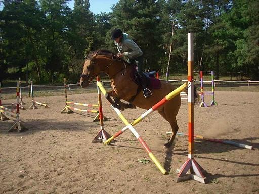 SKOKI;*