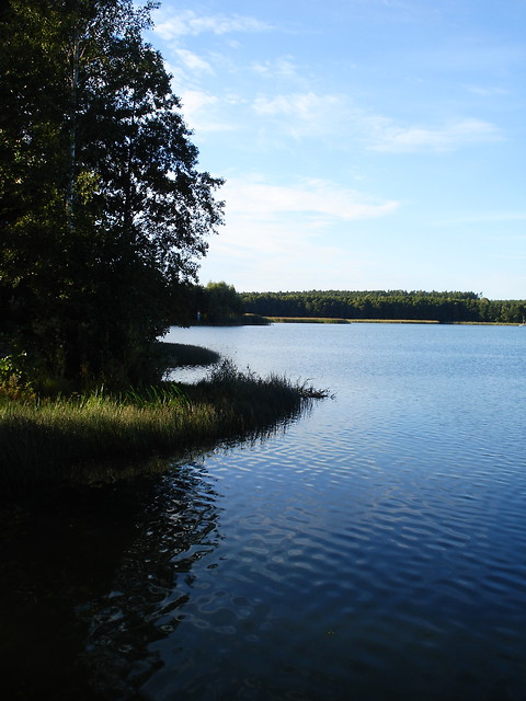 byc