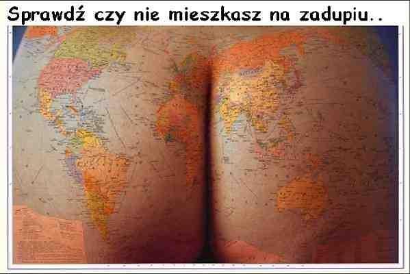 Nie krpuj si szukaj