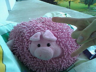 co(winia Domi^^)