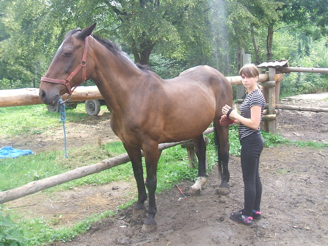 Koronka ^^