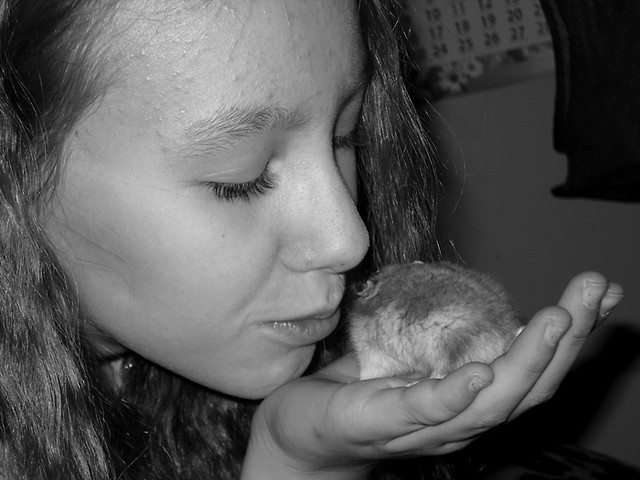 chomek . ;-*