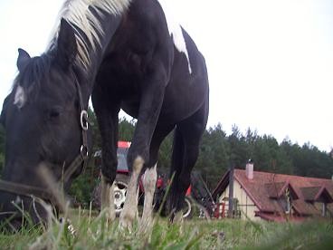 Jedyny niepowtarzalny Lotar ..