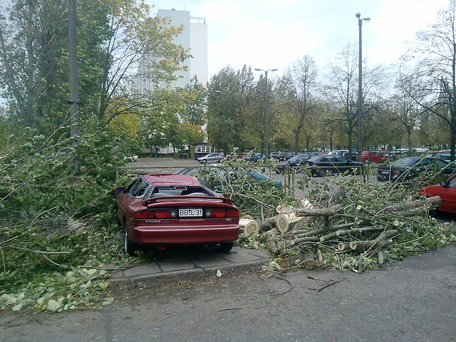 Cabrio