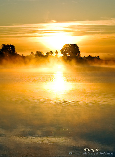 Sobieszewo 19.09.09 