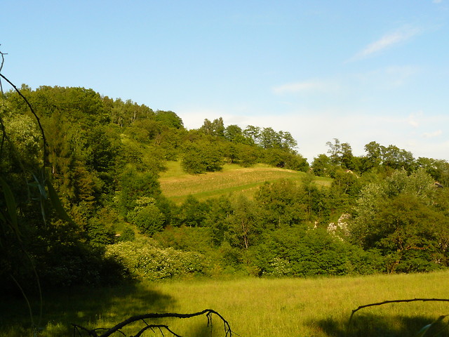 Zielono