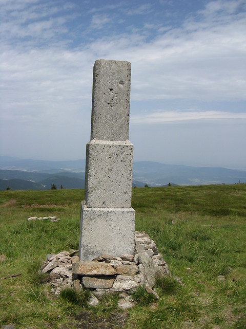 Kolumna...