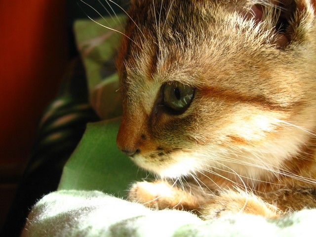 niewiadomego imienia