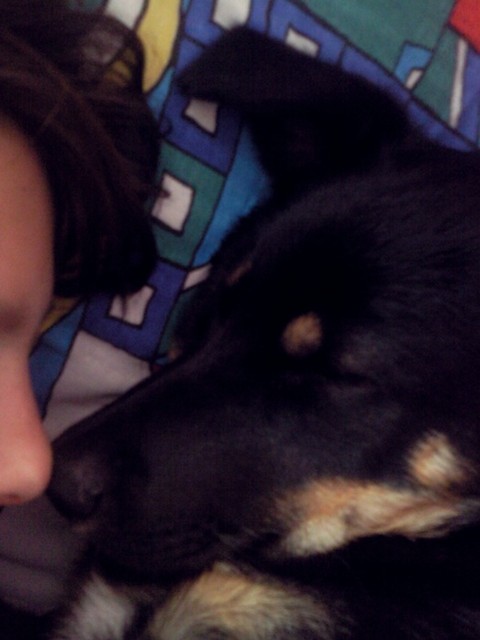 nosek. :)