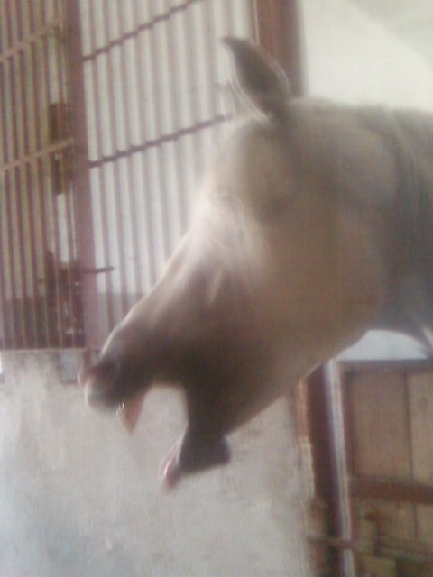 Haaaa ;D