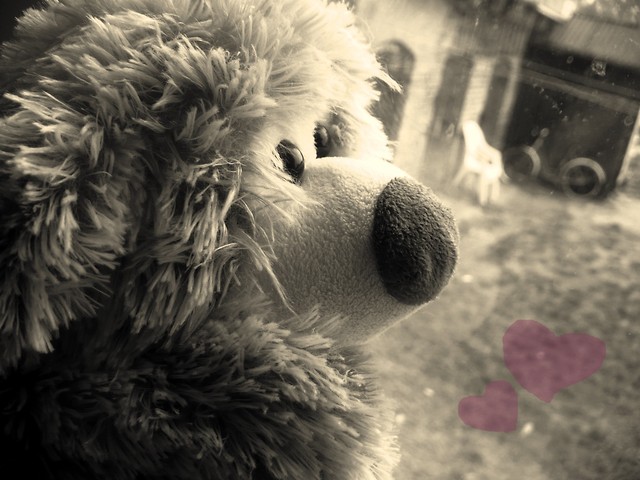 Sezam..; **