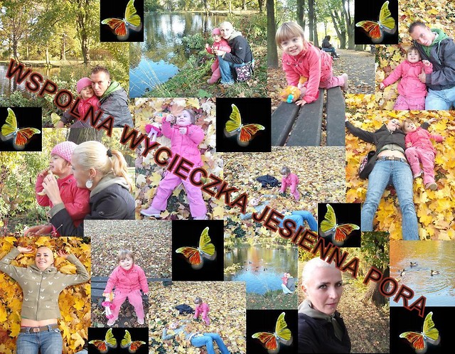 ZLOTA JESIEN