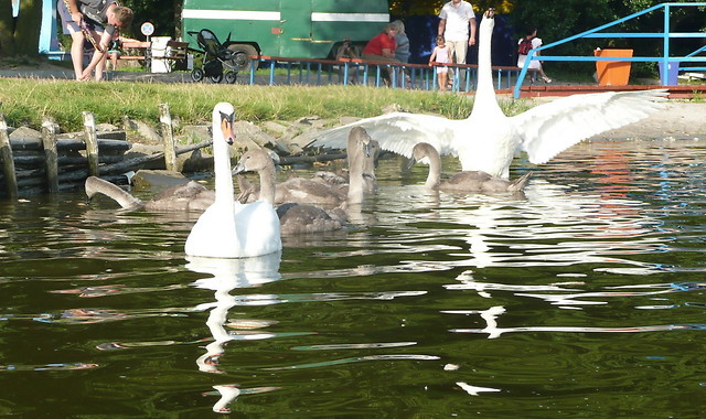 familia