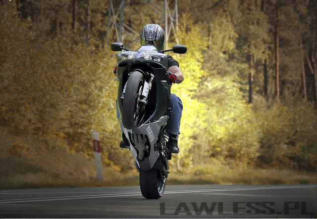 Bartus-Power Wheelie