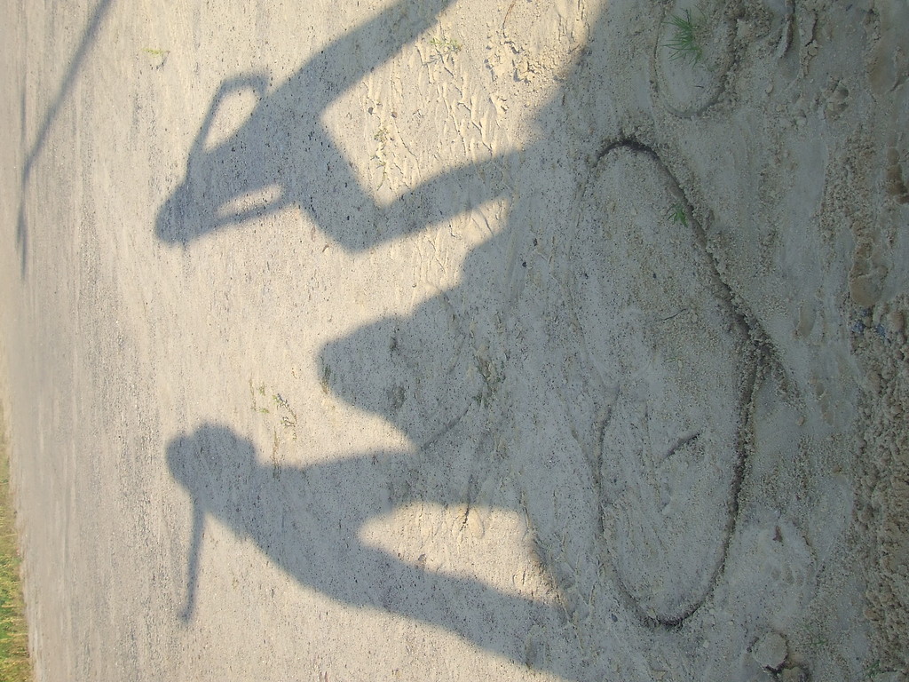 Staree . ;d .