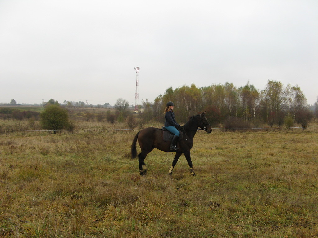 .czy cztery.