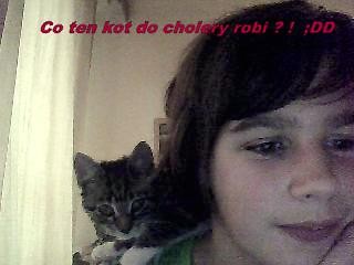 Kici Kici ! < 3