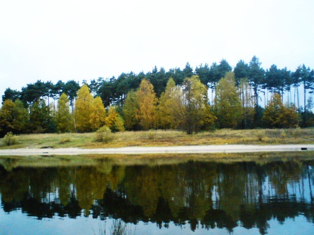 Suszii ;P