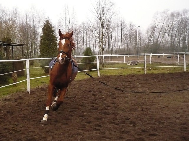 moni. :) 