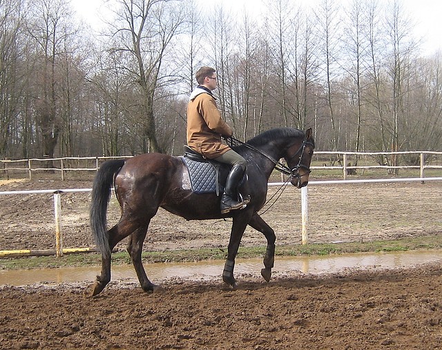 trener. ;) 