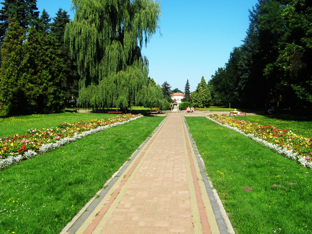 Loveejszyn krovejszyn 