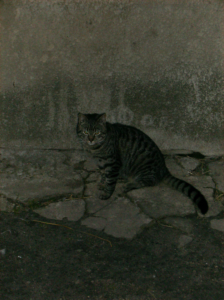 Figiel