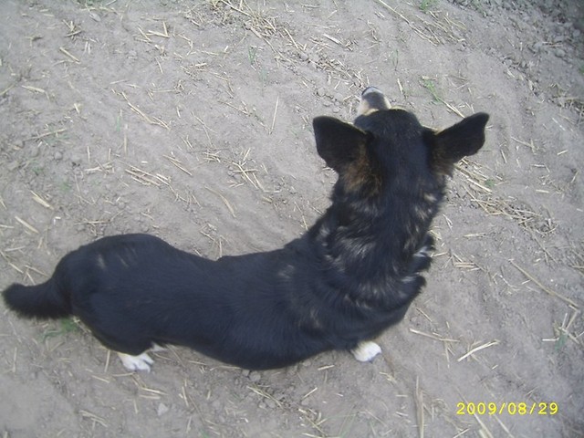 Na foci :)