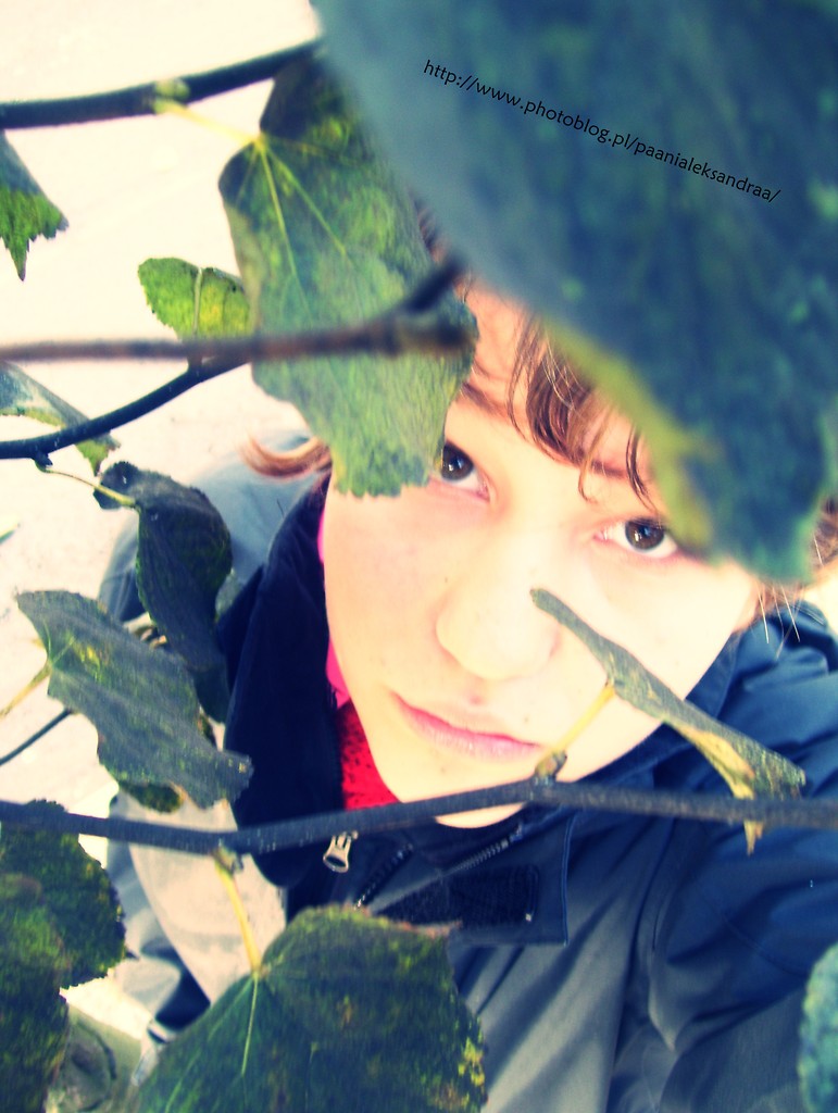 siiit ; * 