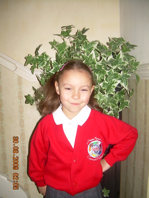 Moja crcia