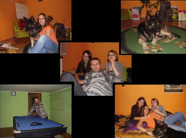1,2,3 or 4 ... Everybody loves!