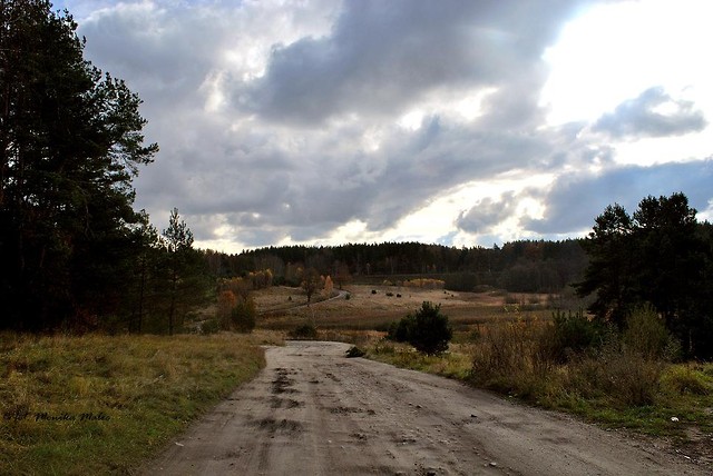 Jesiennie,Dajtkowo-Olsztyn