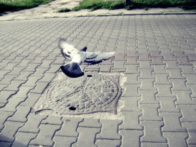 by wzlecie ponad gwar kopotw.