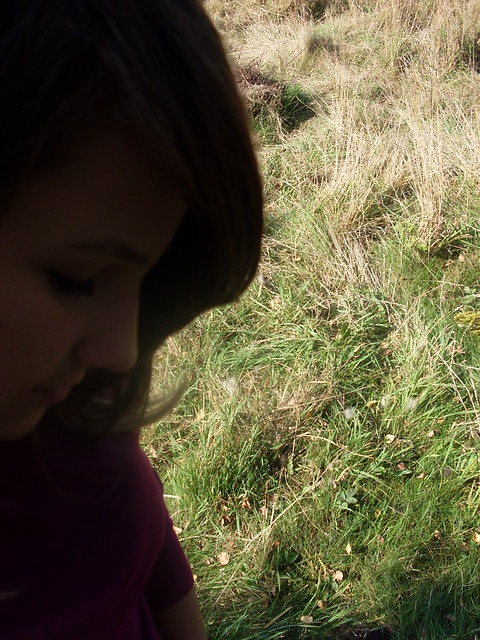 ` kocha . 