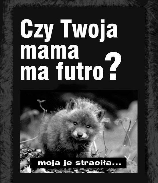 STOP zabijaniu !!