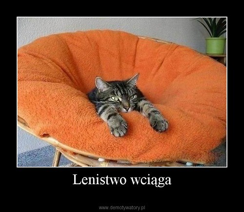 Bogie Bogie LENISTWO :D