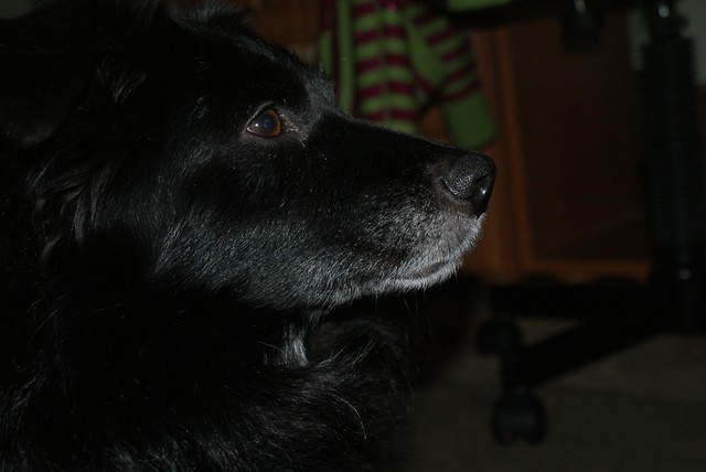 NERKO:)