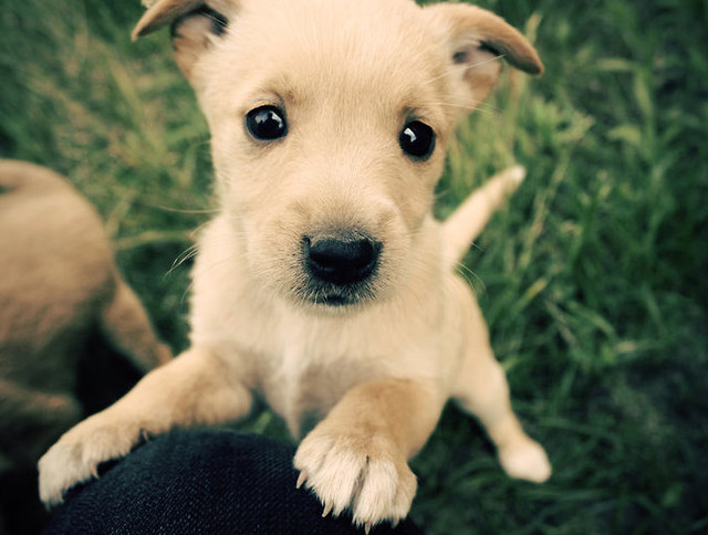 love this eyes < 33
