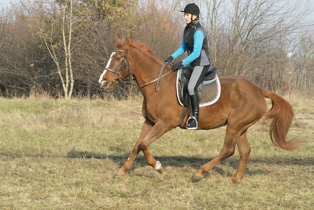 galop ;D