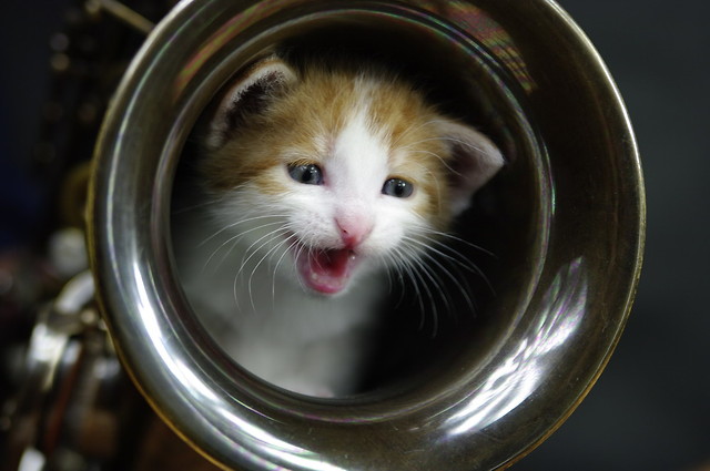 metro goldwyn mayer