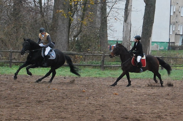 Hubertus