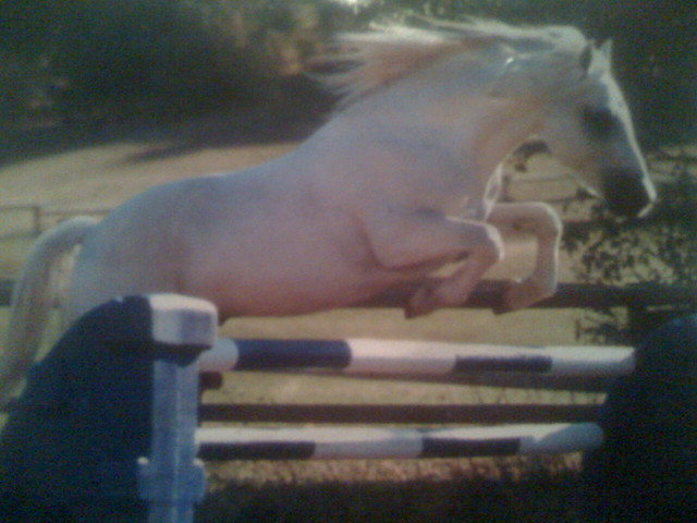 Siwy :)