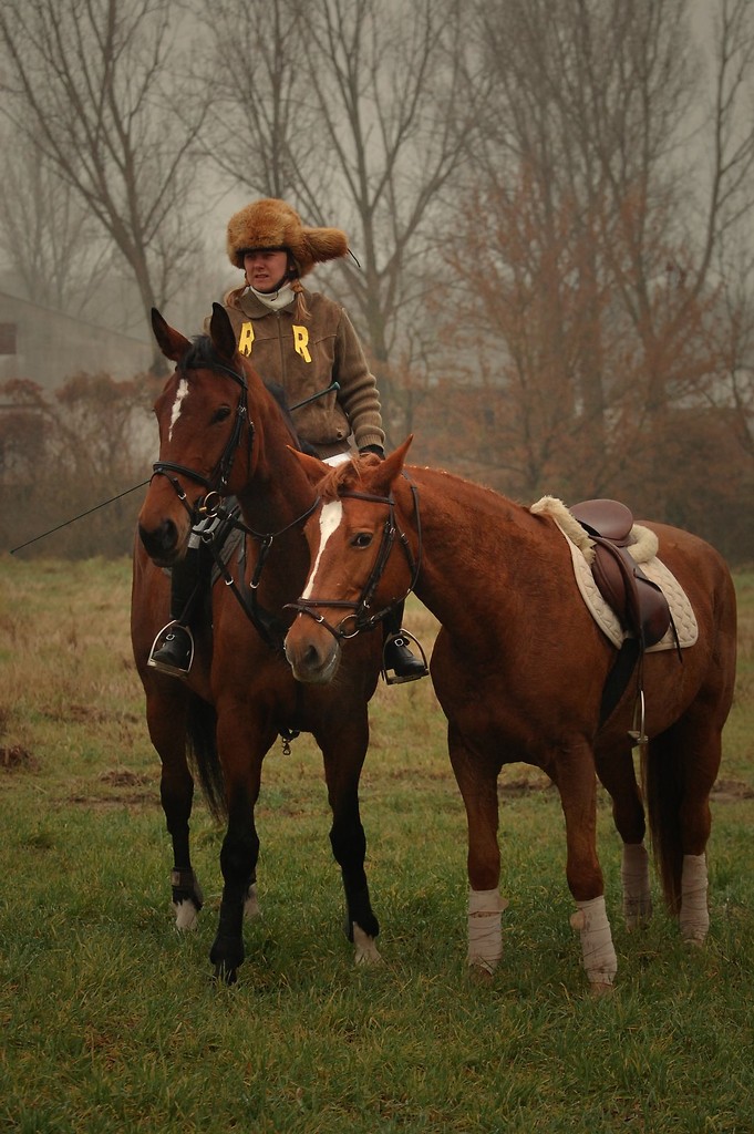 Hubertus 2009