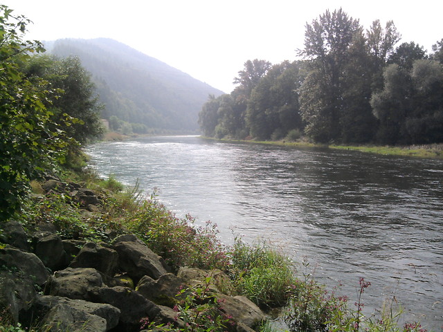 TakA adnA PorbkA ;DD