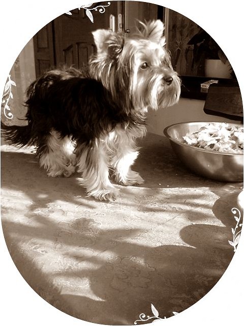 Kika:-)